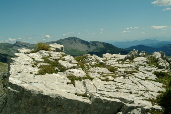 Sculture naturali